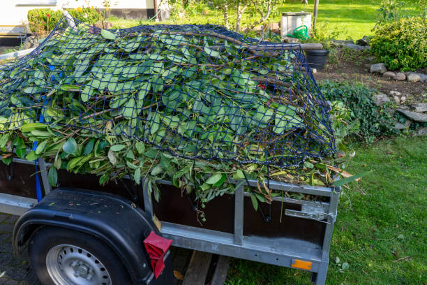 Best Estate Cleanout  in Middlebush, NJ